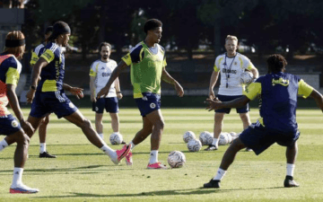 Fenerbahçe Sturm Graz